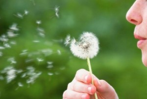 Els experts recomanen als al·lèrgics evitar l’exposició a les substàncies al·lergògenes durant la primavera