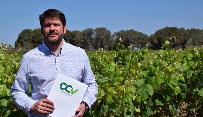 Neix la Central de Compres Vitivinícoles per a impulsar la competitivitat dels cellers