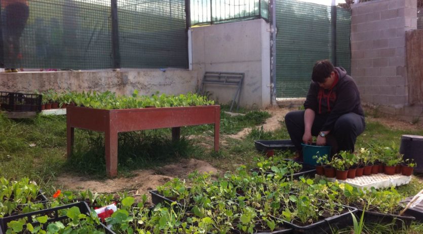 Comença el curs del Programa de Formació i Inserció–Pla de Transició al Treball a Vilafranca