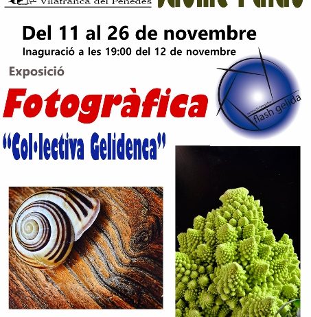 La sala Jaume Palau acull una exposició fotogràfica col·lectiva de Gelida
