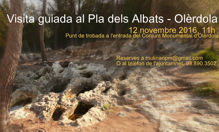 Vista guiada gratuïta al Pla dels Albats aquest dissabte 12 de novembre