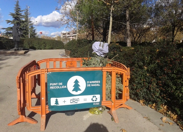 Vilafranca instal·la un any més “Punts de recollida” d’arbres de Nadal