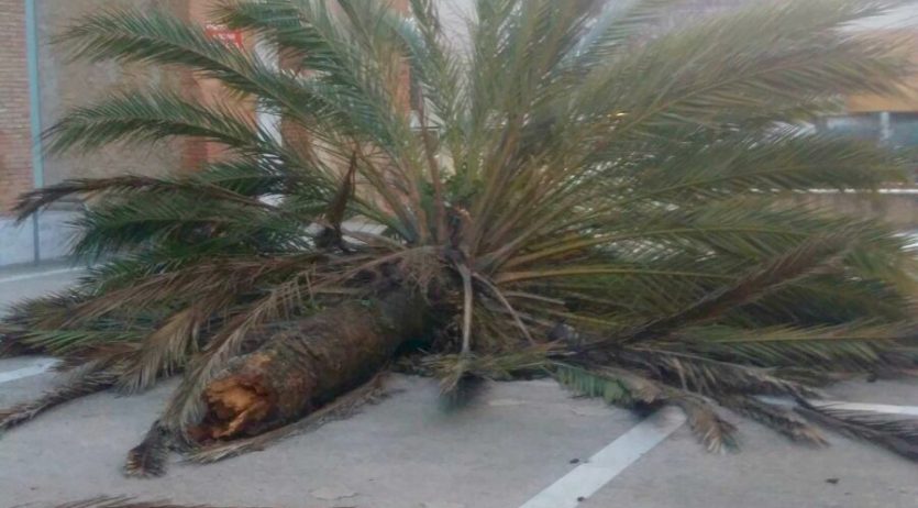 El fort vent provoca desperfectes a la via pública a Sant Sadurní