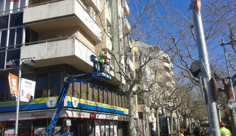 S’estan podant els plàtans de la rambla de Nostra Senyora de Vilafranca