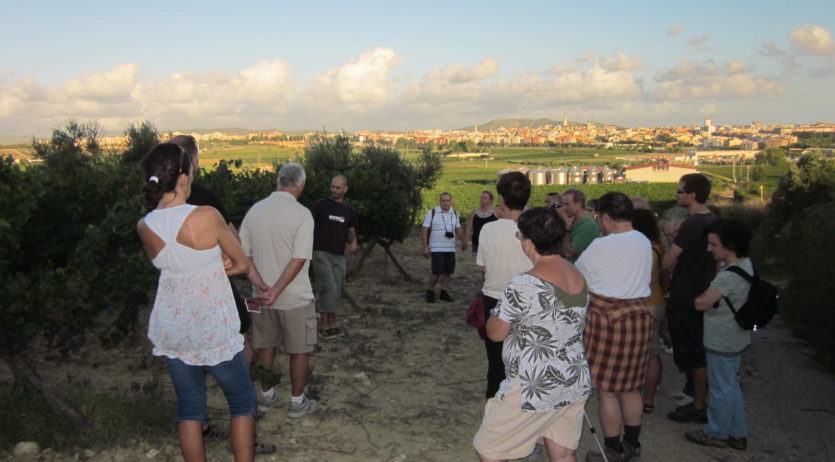 Aquest dissabte es podrà fer un itinerari guiat entre vinyes a Sant Pau