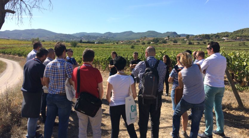 El Curs de Formador en Cava suma aquest any 41 professionals
