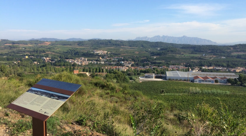 L’Ajuntament de Torrelavit aprova inicialment el Pla d’Ordenació Urbanística Municipal