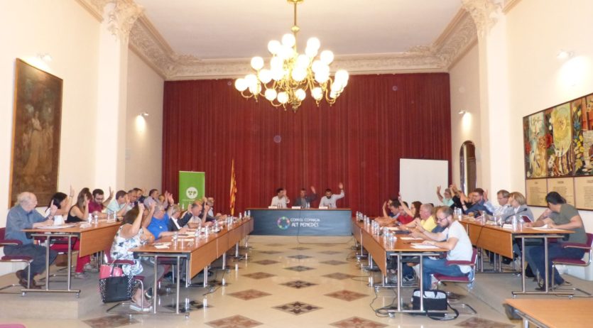 El jaciment de Cal Pons, a Pontons, ha estat declarat bé cultural d’interès local