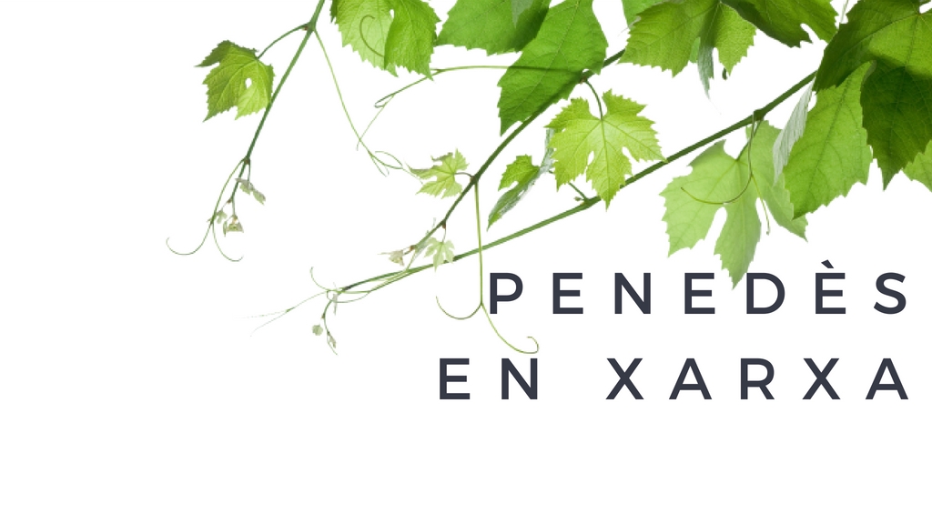 Penedès en Xarxa Penedès en Xarxa