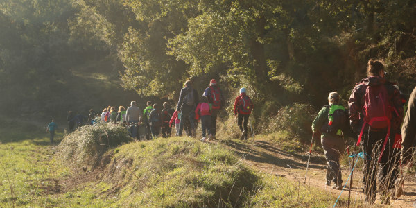50 persones de Sant Sadurní acompanyen els Cavalls de Marina en la ruta de la transhumància