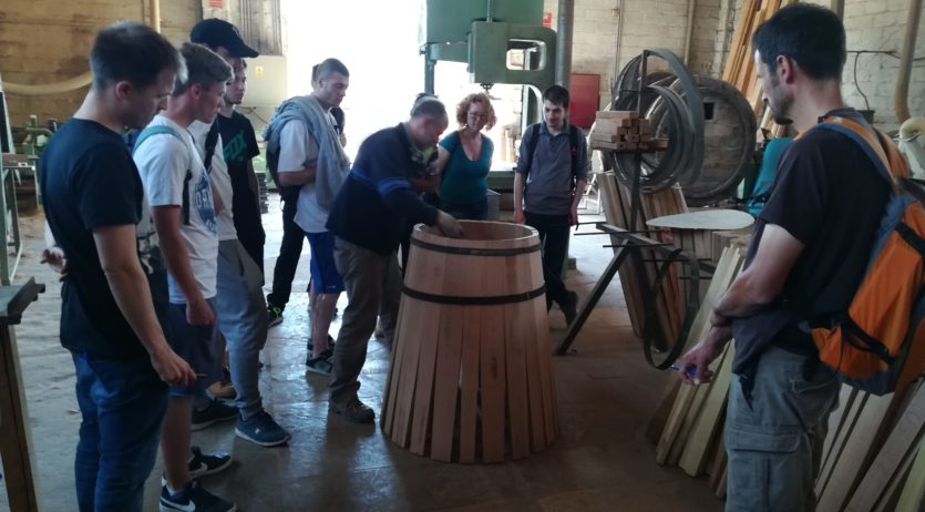 Comença un Curs d’Elaboració de vins i licors a la Fassina aquest desembre
