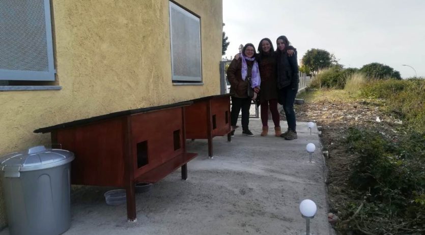 L’Ajuntament i voluntàries realitzen una gestió ètica de colònies de gats a Olèrdola