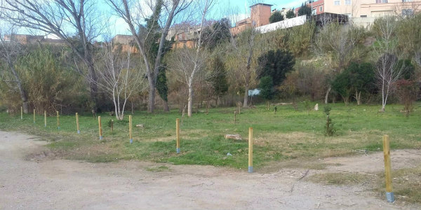 S’ha produït actes vandàlics al projecte escolar L’Hort i el Bosc de les escoles