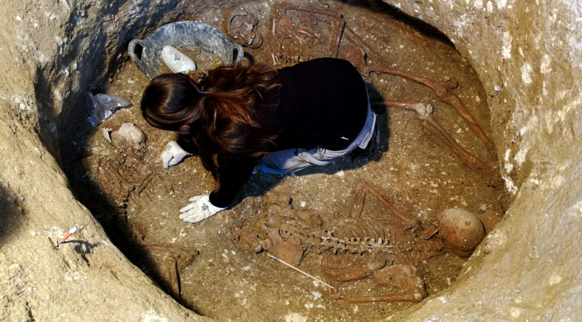 El Vinseum obre les portes a l’excavació arqueològica de les obres d’ampliació