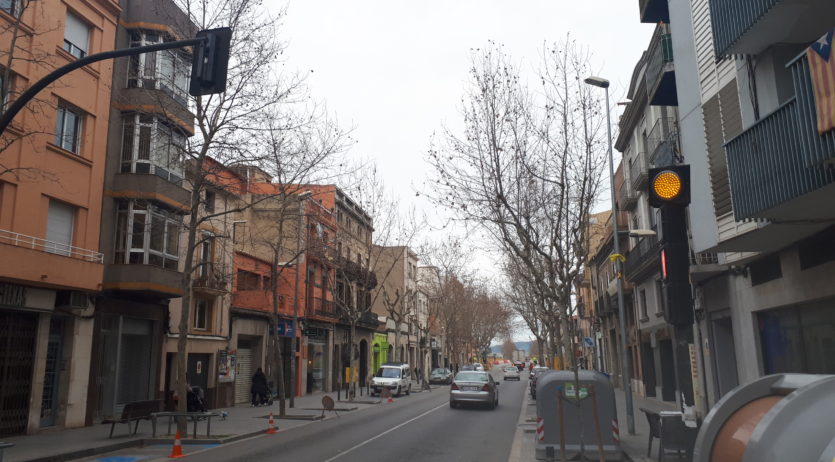 Es fa poda intensiva a arbres de l’avinguda de Barcelona