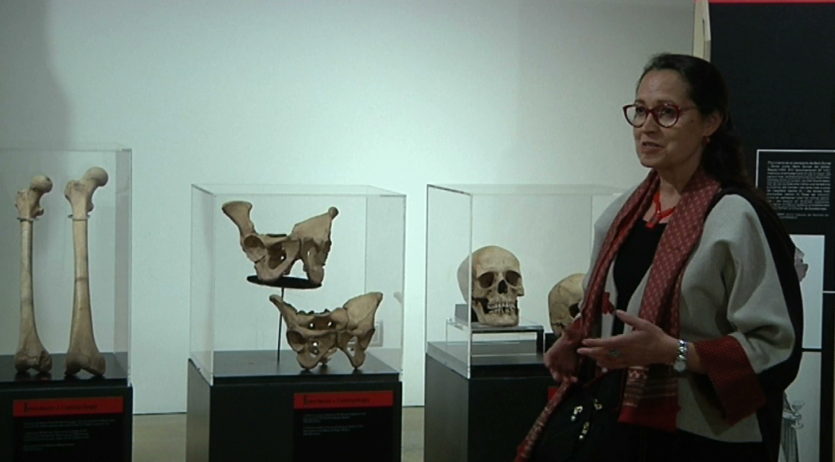 Vinseum inaugura ‘Ossos. Un viatge a l’època medieval de la mà de l’antropologia física’