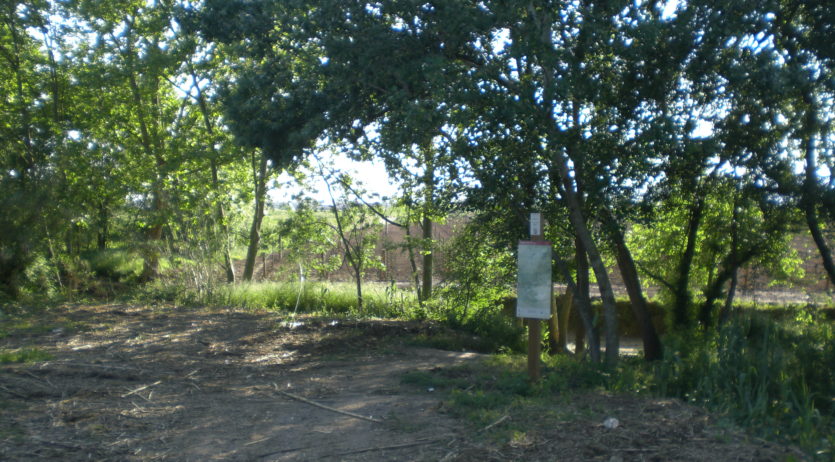 Adéu plàstics! arriba a la riera de Llitrà en el marc de l’activitat ‘Rius amb vida al Penedès’