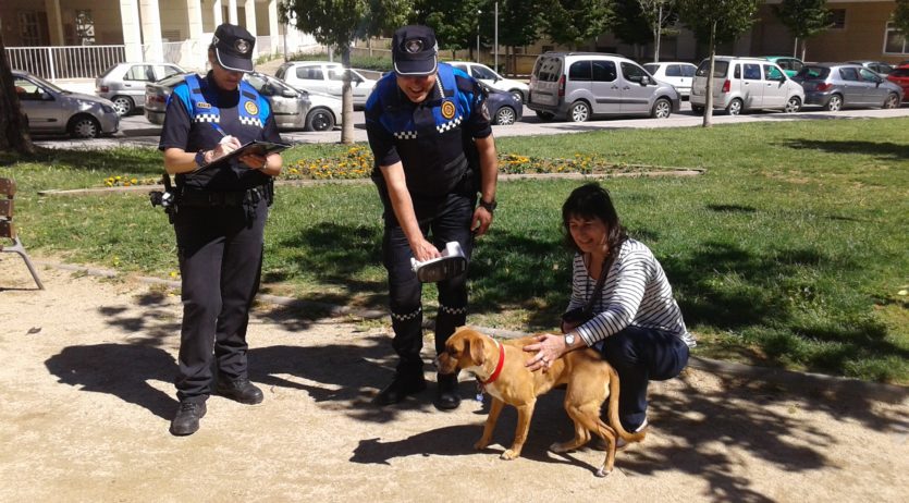 Vilafranca controla el compliment de la normativa per part dels propietaris de gossos