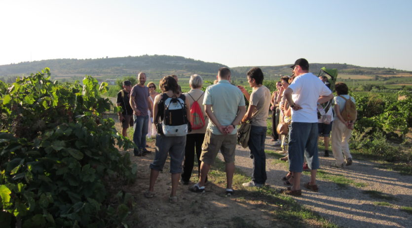 Dissabte es farà un itinerari guiat entre vinyes a Sant Pau, coincidint amb el Vijazz