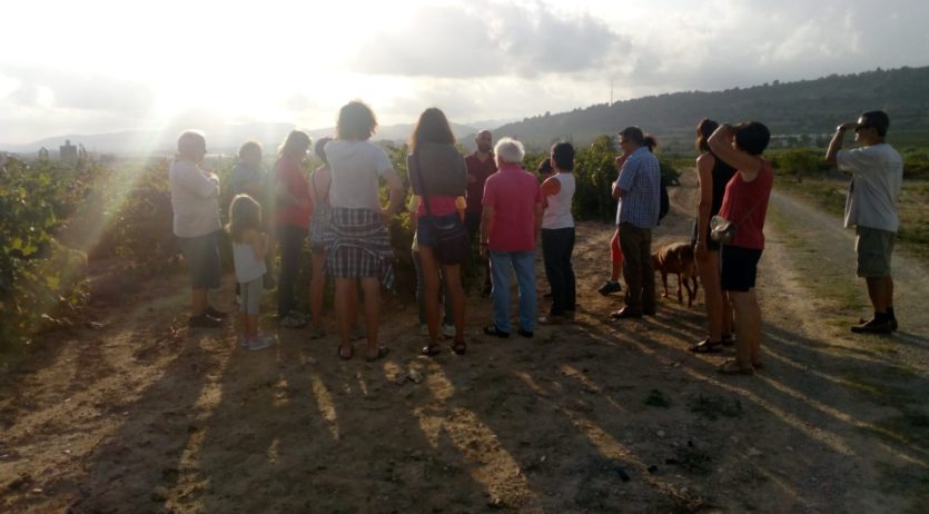 Itinerari guiat entre vinyes a Sant Pau aquest dissabte