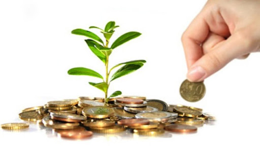 L’Ajuntament de Sant Sadurní ofereix subvencions per a empreses i nous autònoms