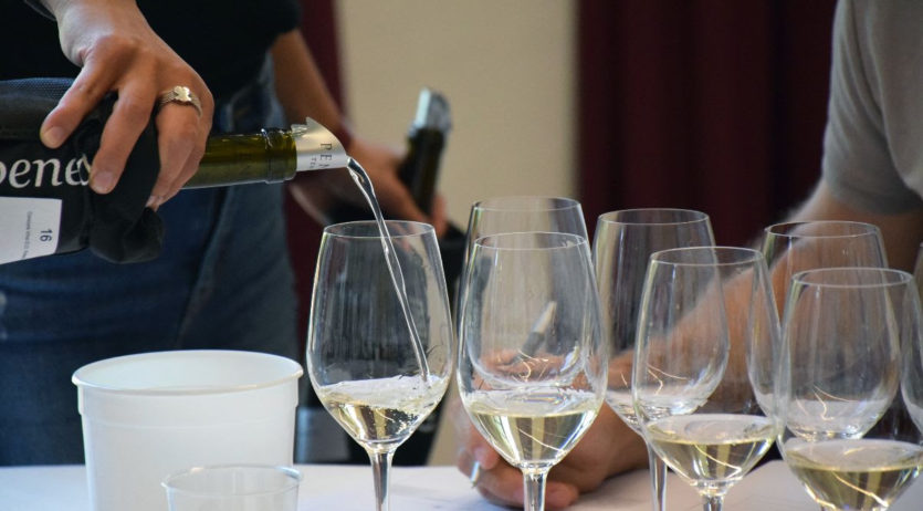 L’Acadèmia Tastavins Penedès inicia tastos online de les medalles d’or