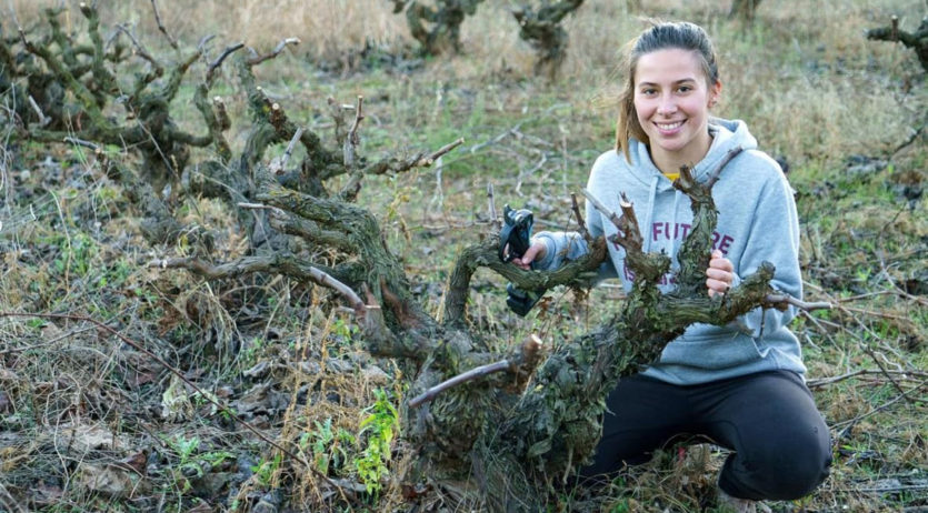 L’Alt Penedès és la comarca barcelonina amb més superfície dedicada a l’agricultura ecològica