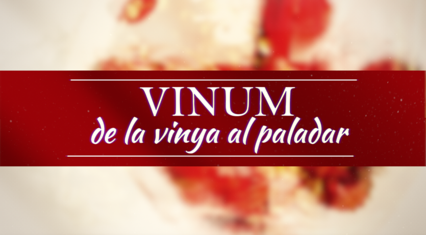 Penedès TV estrena ‘Vinum’, el nou programa dedicat al món del vi