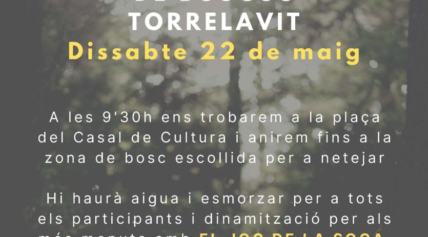 Acció per netejar els boscos de Torrelavit