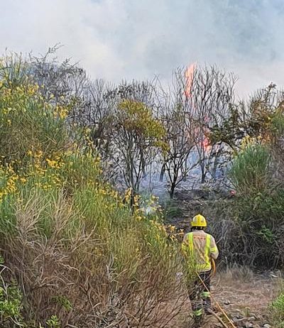 Un incendi al barranc del Fideuer de Sant Sadurní d’Anoia