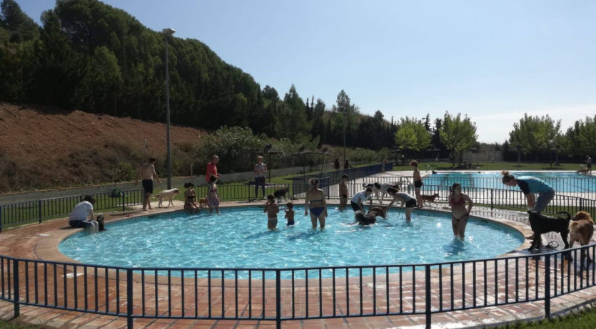 S’organitza una jornada de portes obertes per a mascotes a la piscina municipal de Torrelles
