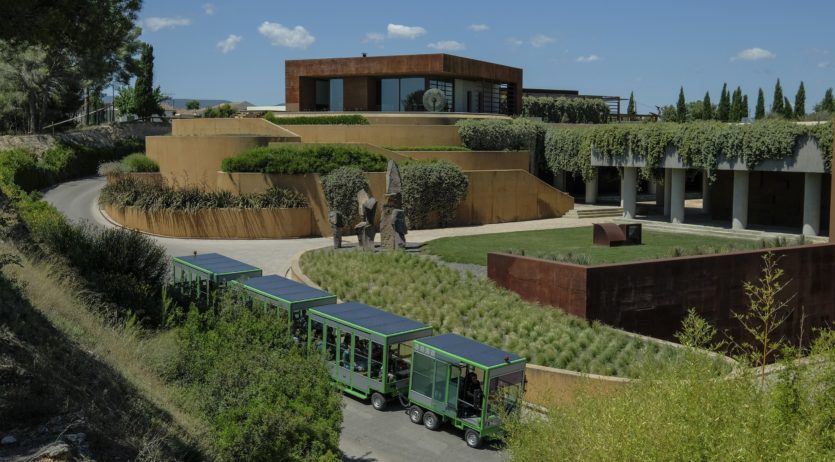 Família Torres, nomenada ‘Green Company of the Year’ per The Drinks Business