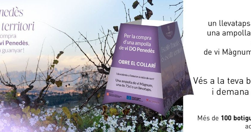 116 establiments, rècord de participants, en la campanya 2022 de la DO Penedès a les botigues