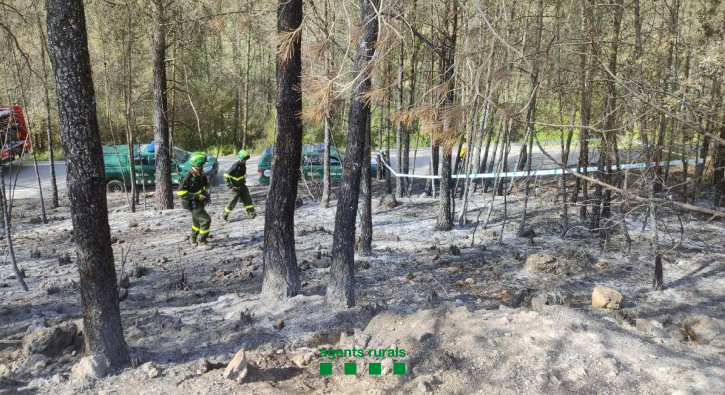 Detingut el presumpte autor de dos incendis forestals d’aquest juny al Massís del Garraf