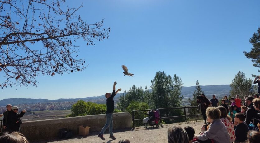 Les activitats de ‘Els diumenges a Sant Pau’ comencen amb l’alliberament d’un rapinyaire