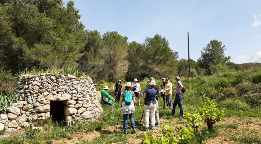 Caminada guiada per conèixer la pedra seca de Subirats