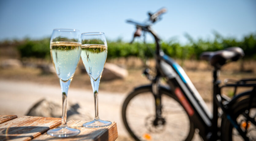 La Web App ‘Camins del Cava’ amplia el seu radi d’acció, i tres zones diferenciades