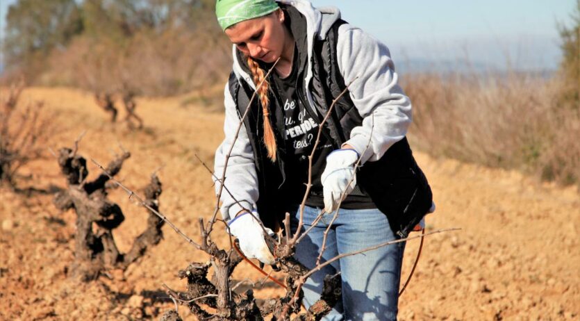 S’inaugura l’exposició ’50 dones viticultores del Penedès’ amb fotografies de Maria Rosa Ferré