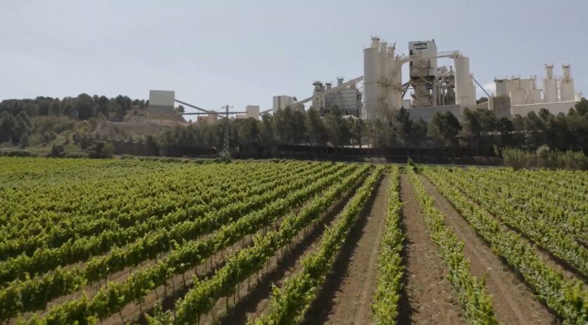 Cales de Pachs compra una finca de 6 ha per consolidar «l’aposta per un entorn sostenible»