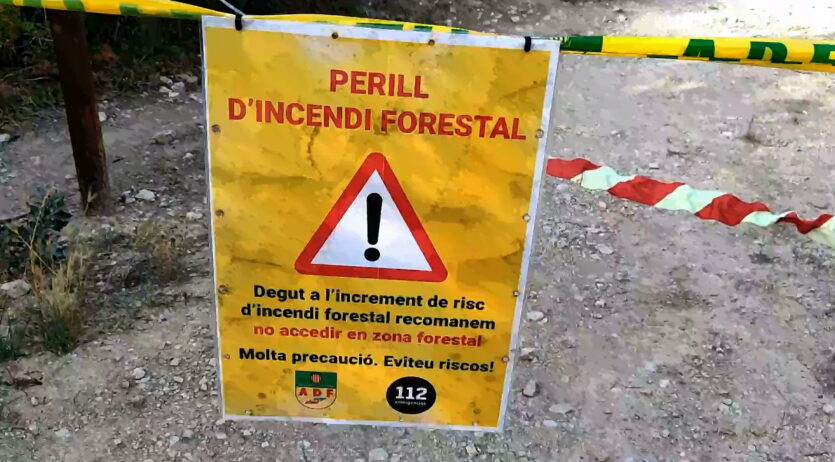Les vinyes i els seus camins, possibles solucions per reduir el risc d’incendis al Penedès