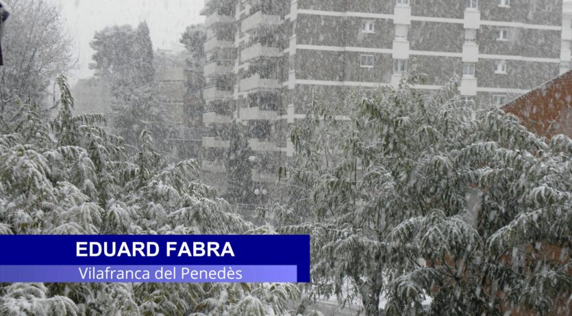 Neu a primera línia de mar: 14 anys de la nevada que va col·lapsar el Penedès