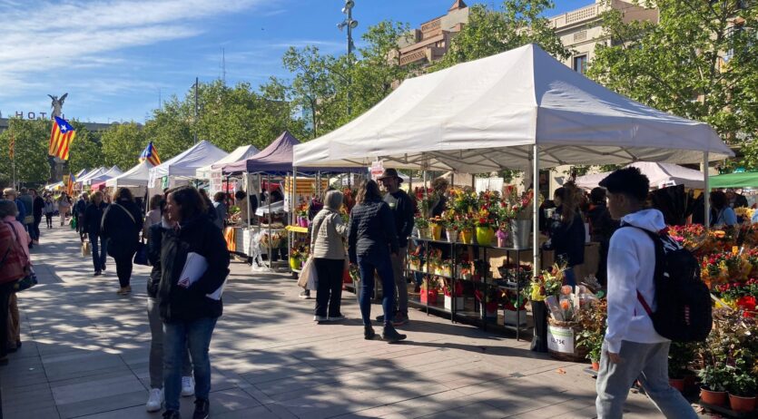 La rambles de Sant Francesc i de Nostra Senyora són el centre de la Diada de Sant Jordi