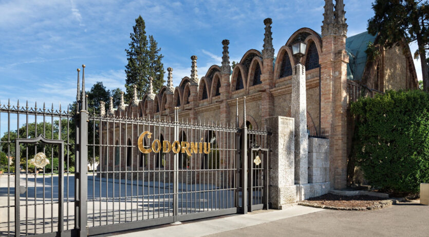 Codorníu tornarà a aplicar un “plus climàtic” al preu del raïm per la verema d’enguany