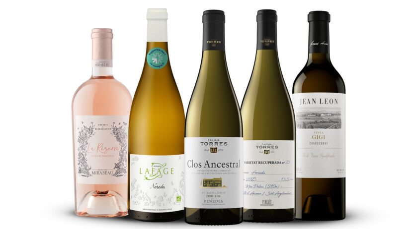 Set cellers de quatre països ja compten amb la nova certificació de viticultura regenerativa