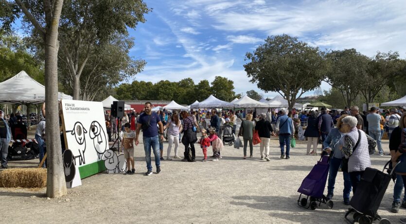 La festa de la Transhumància torna aquest cap de setmana a Santa Margarida i els Monjos