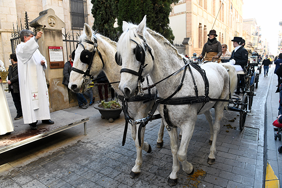 Els Tres Tombs 2025 aplegaran carros, carruatges, cavalls i animals de companyia a Vilafranca