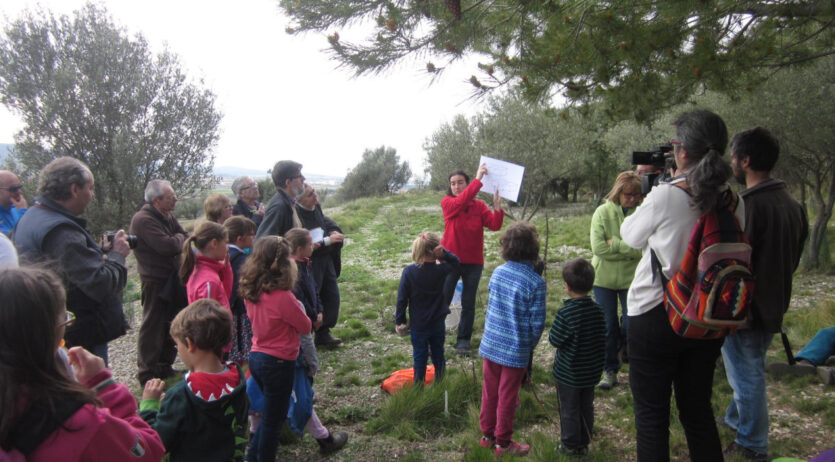 Torna l’activitat ‘Una muntanya de fòssils’ a Sant Pau