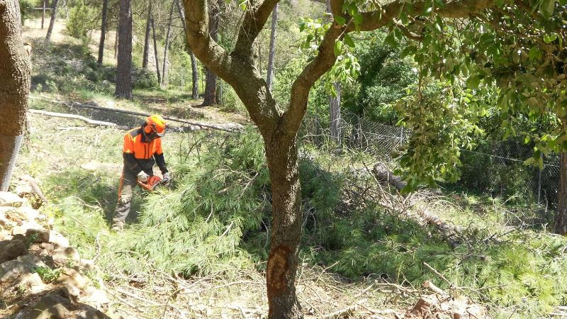 L’ADF Alt Foix opta al premi Rossend Montané