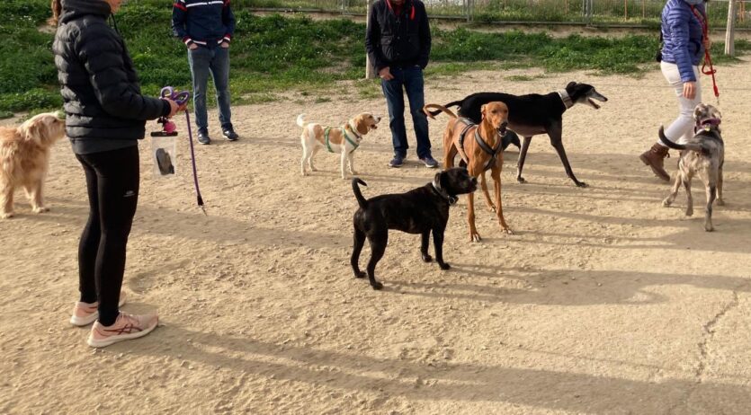 Incertesa entre usuaris de l’espai per a gossos de la Barceloneta per les obres al c/Santa Fe