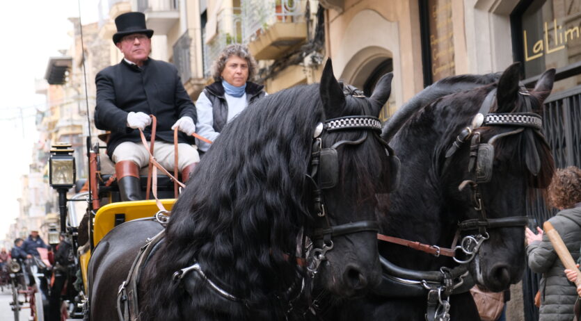 La festivitat de Sant Antoni se celebra diumenge a Vilafranca amb els tradicionals Tres tombs